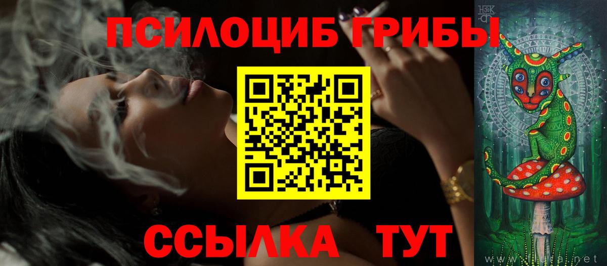 Псилоцибиновые грибы Cubensis  Псилоцибиновые грибы прущие грибы  Вход с VPN  Мытищи 